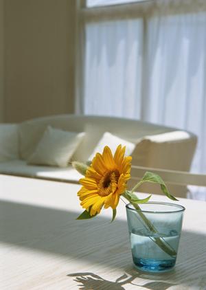 京都でエクステリア依頼ならルーチェ