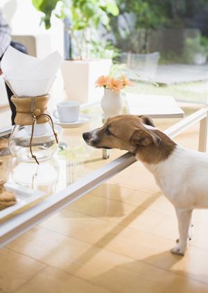 信頼できる札幌のリフォーム会社