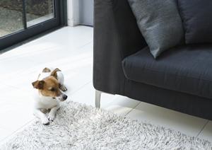 水まわりリフォームを安く仕上げるには