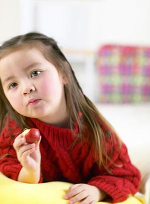 経験と実績がある松山のエクステリア